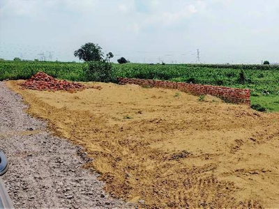 Agricultural Land 50 Ares for Sale in Bilaspur, Gurgaon