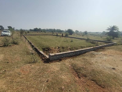 Agricultural Land 5000 Sq.ft. for Sale in