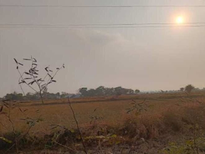 Agricultural Land 52 Acre for Sale in Abhanpur, Raipur
