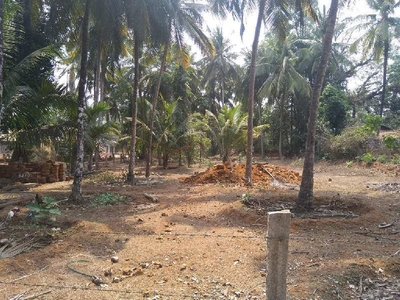 Agricultural Land 52 Cent for Sale in Kundapura, Udupi