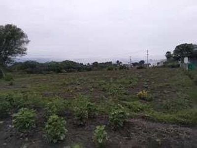 Agricultural Land 53 Cent for Sale in Veppanthattai, Perambalur