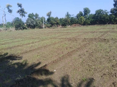 Agricultural Land 54504 Sq.ft. for Sale in