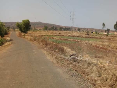 Agricultural Land 55 Acre for Sale in Shirala, Sangli