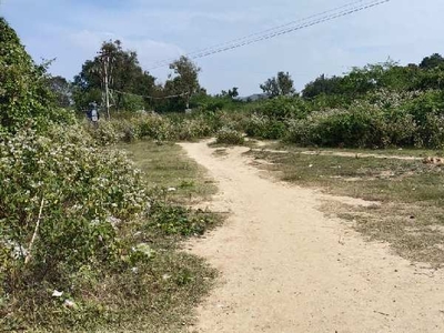 Agricultural Land 55 Cent for Sale in Kuppam, Chittoor