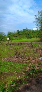 Agricultural Land 550 Acre for Sale in