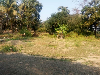 Agricultural Land 5500 Sq.ft. for Sale in