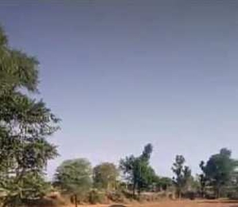 Agricultural Land 56 Bigha for Sale in