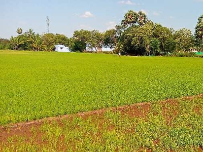 Agricultural Land 56 Cent for Sale in Melapalayam, Tirunelveli