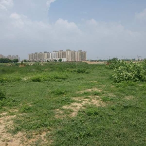 Agricultural Land 5980 Sq. Yards for Sale in Bikaner Agra Road Agra