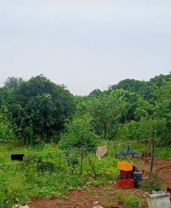 Agricultural Land 6 Acre for Sale in Kumhari, Durg