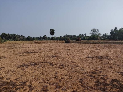 Agricultural Land 6 Acre for Sale in Pollachi, Coimbatore