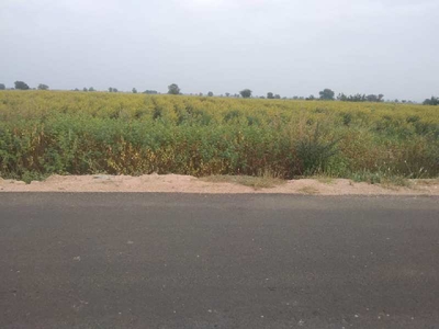 Agricultural Land 60 Acre for Sale in Chitapur, Gulbarga