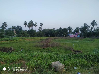 Agricultural Land 60 Cent for Sale in KTC Nagar, Tirunelveli