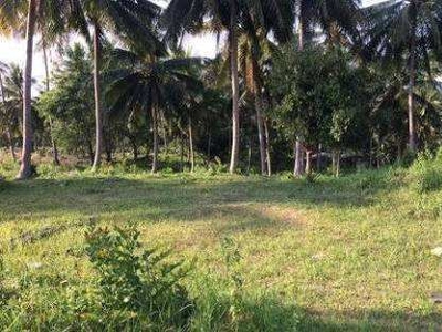 Agricultural Land 60 Sq.ft. for Sale in