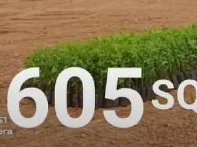 Agricultural Land 605 Sq.ft. for Sale in Hitech City, Hyderabad