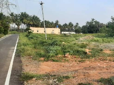 Agricultural Land 61 Cent for Sale in Karumathampatti, Coimbatore