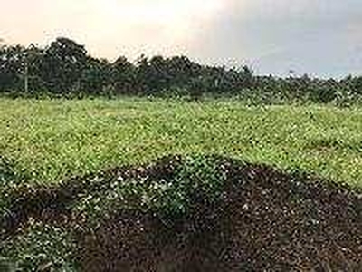 Agricultural Land 64 Cent for Sale in Surandai, Tirunelveli