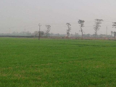 Agricultural Land 6500 Sq. Yards for Sale in