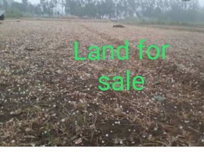 Agricultural Land 65400 Sq.ft. for Sale in Hata, Kushinagar