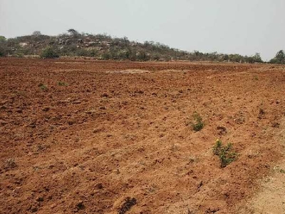 Agricultural Land 7 Acre for Sale in Amangal, Hyderabad
