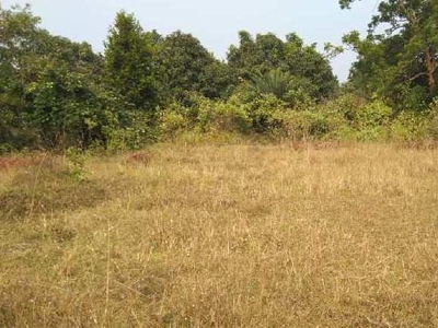 Agricultural Land 7 Acre for Sale in Chhatabar, Bhubaneswar