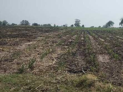 Agricultural Land 7 Acre for Sale in Gangapur Aurangabad