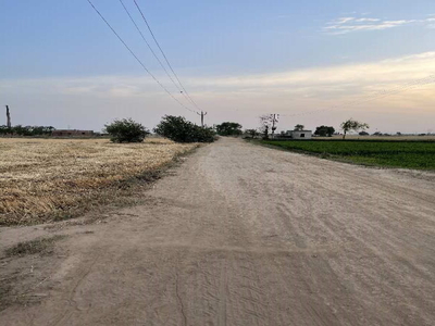 Agricultural Land 7 Acre for Sale in Pakhowal Road, Ludhiana