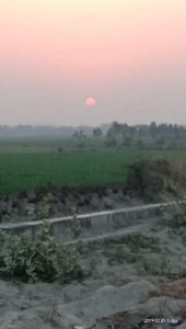 Agricultural Land 7 Bigha for Sale in Bithoor, Kanpur