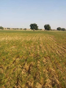 Agricultural Land 70 Sq.ft. for Sale in Dabla, Jaisalmer