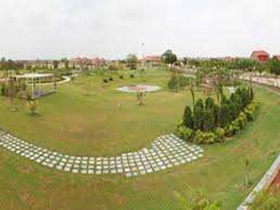 Agricultural Land 700 Bigha for Sale in Mawana, Meerut