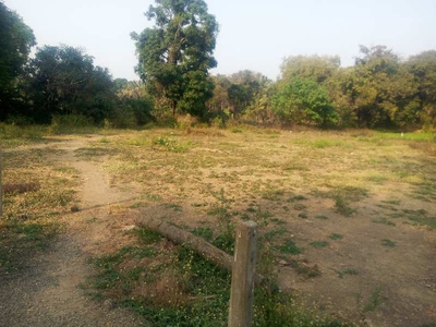 Agricultural Land 7000 Sq.ft. for Sale in