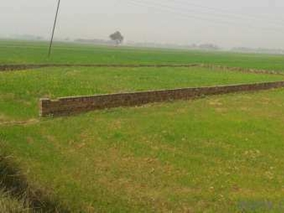 Agricultural Land 7176 Sq. Yards for Sale in GT Road, Kanpur