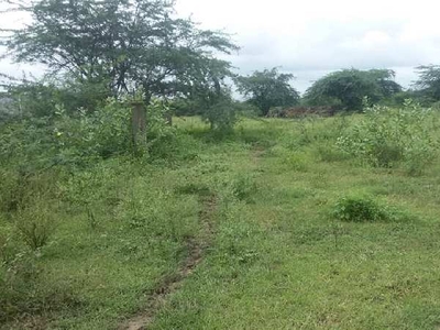 Agricultural Land 78 Cent for Sale in Minjur, Thiruvallur