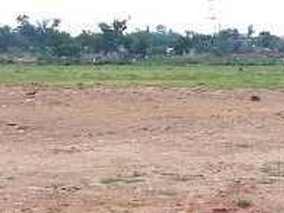 Agricultural Land 7840 Sq.ft. for Sale in