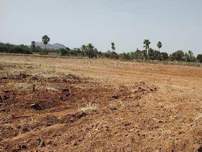 Agricultural Land 8 Acre for Sale in Amangal, Rangareddy