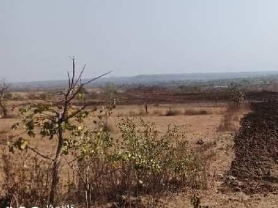 Agricultural Land 8 Acre for Sale in Mohapa, Nagpur