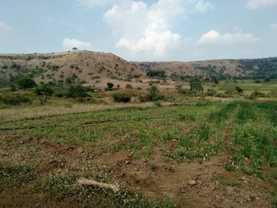Agricultural Land 8 Acre for Sale in Paithan, Aurangabad