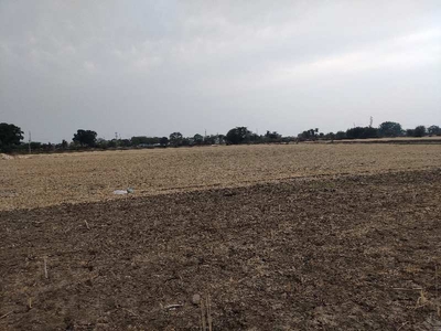 Agricultural Land 8 Acre for Sale in Panna Town