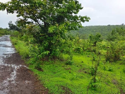 Agricultural Land 84 Acre for Sale in Mhasla, Raigad