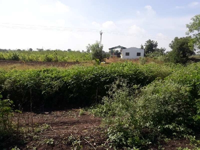 Agricultural Land 84942 Sq.ft. for Sale in Miraj, Sangli