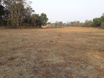 Agricultural Land 87 Guntha for Sale in Kudal, Sindhudurg
