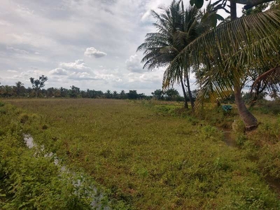 Agricultural Land 9 Acre for Sale in