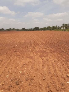Agricultural Land 9 Acre for Sale in Gauribidanur, Bangalore