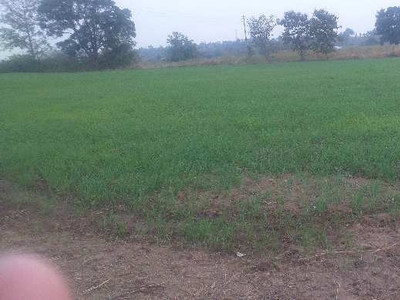Agricultural Land 9 Acre for Sale in Mohpa, Nagpur