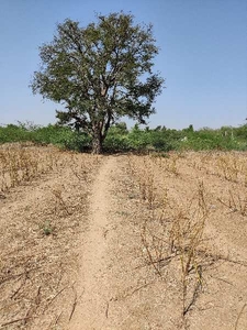 Agricultural Land 9 Acre for Sale in Pavagada, Tumkur