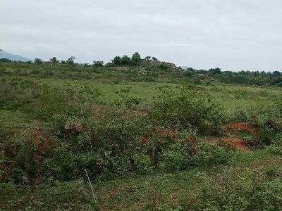 Agricultural Land 9 Ares for Sale in Malavalli, Mandya