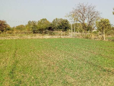 Agricultural Land 9 Bigha for Sale in Bhinder, Udaipur