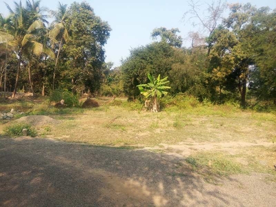 Agricultural Land 9000 Sq.ft. for Sale in