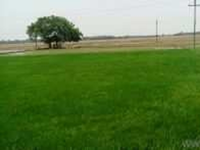 Agricultural Land 92 Acre for Sale in