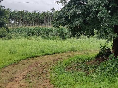Agricultural Land 92 Hectares for Sale in
